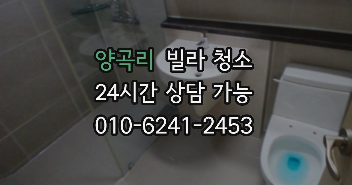 양곡리 빌라 청소