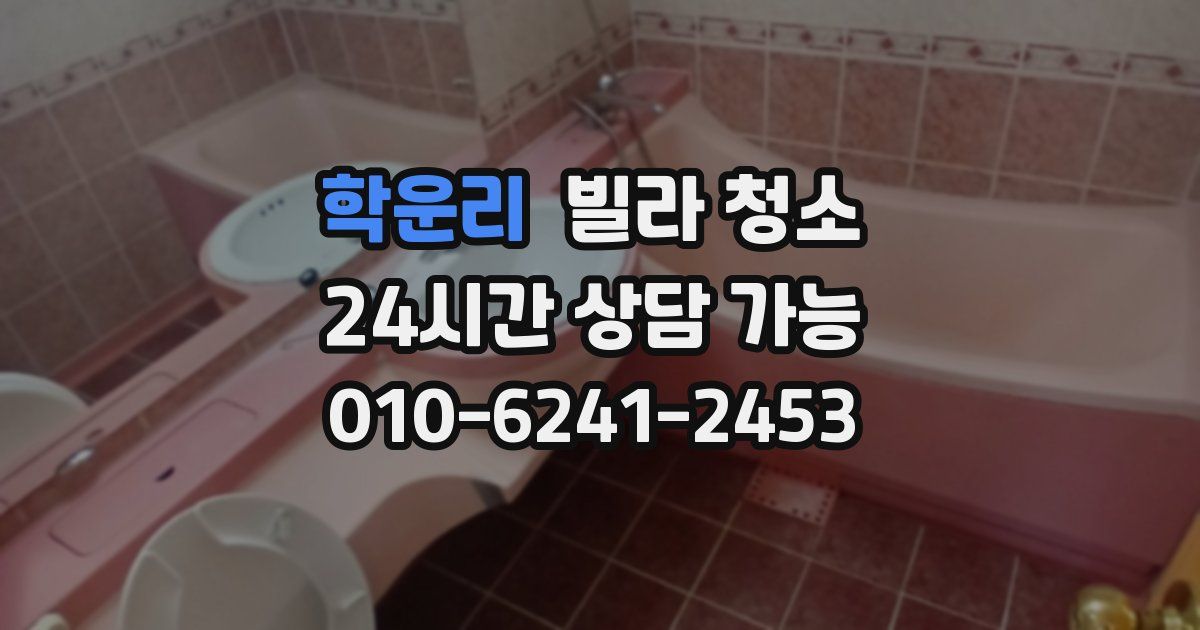 학운리 빌라 청소