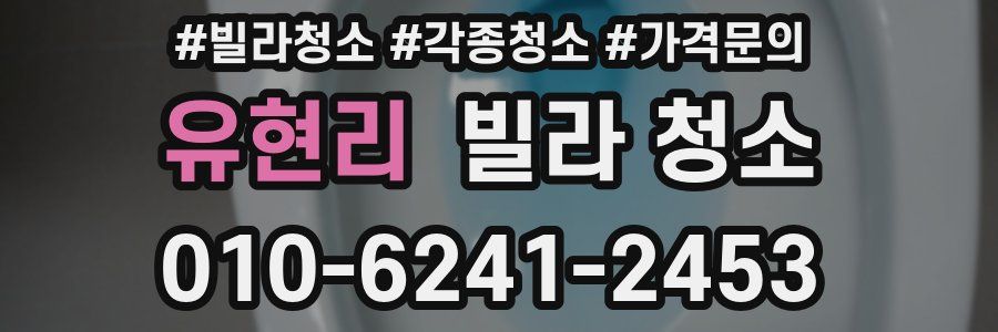 유현리 빌라 청소