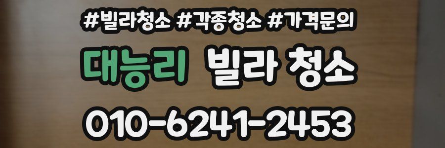 대능리 빌라 청소