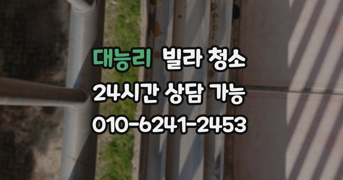 대능리 빌라 청소