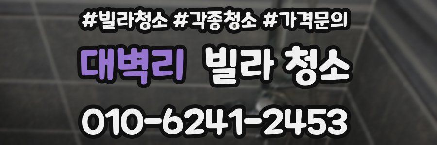 대벽리 빌라 청소