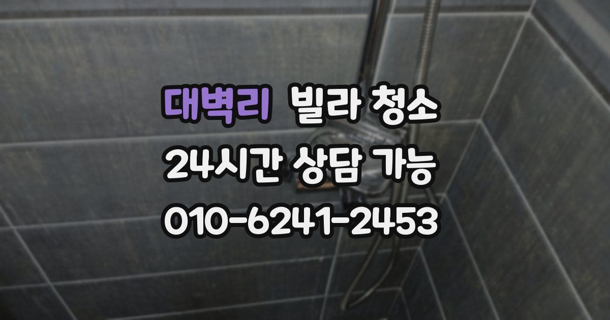 대벽리 빌라 청소