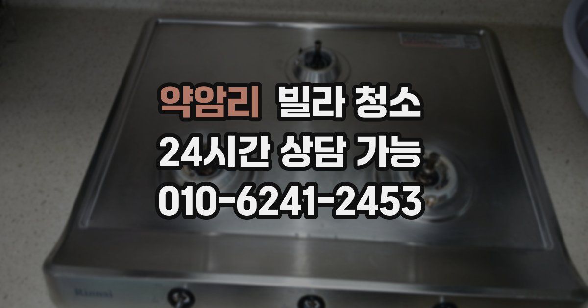 약암리 빌라 청소