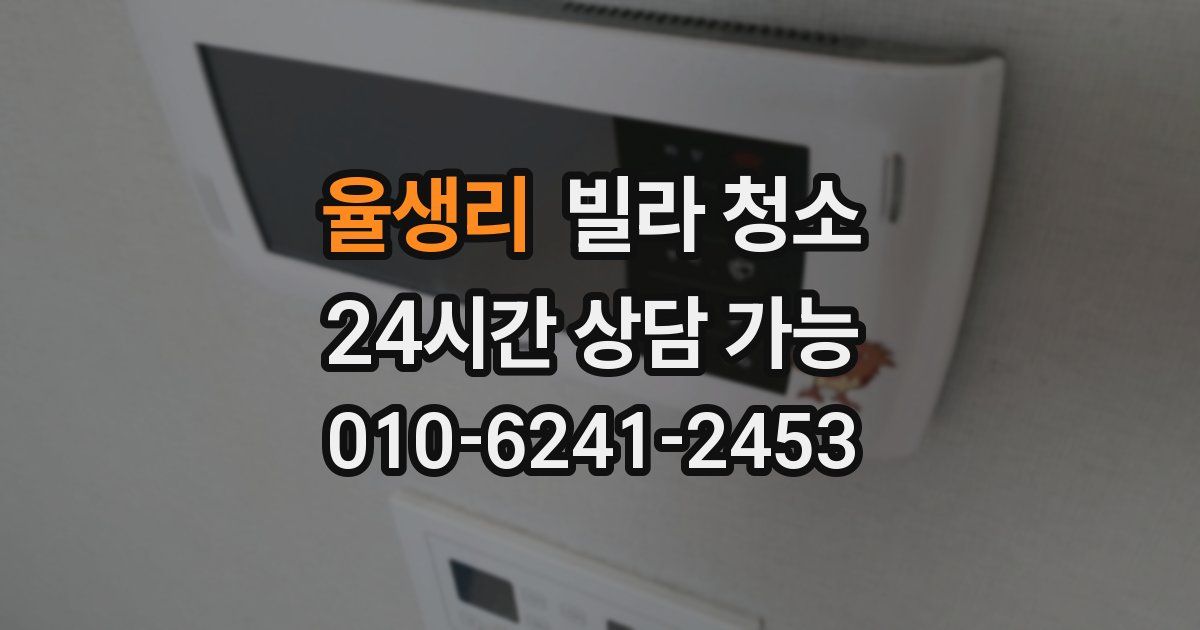 율생리 빌라 청소