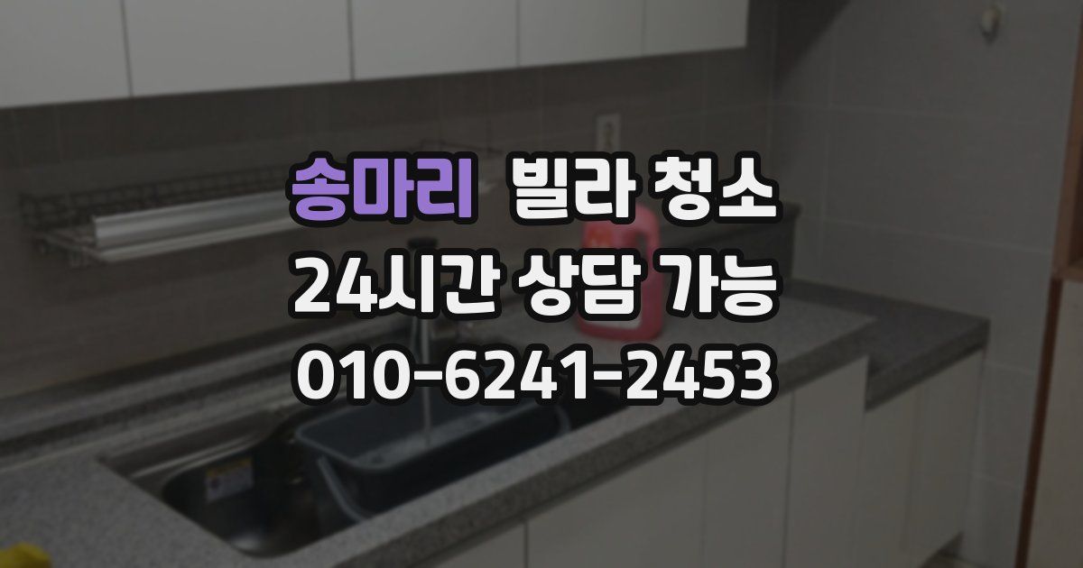 송마리 빌라 청소