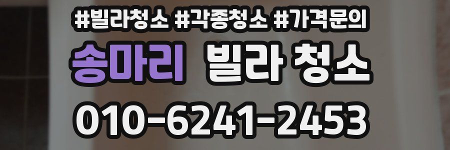 송마리 빌라 청소