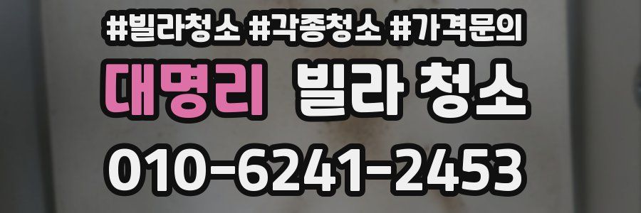 대명리 빌라 청소