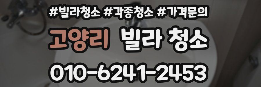 고양리 빌라 청소