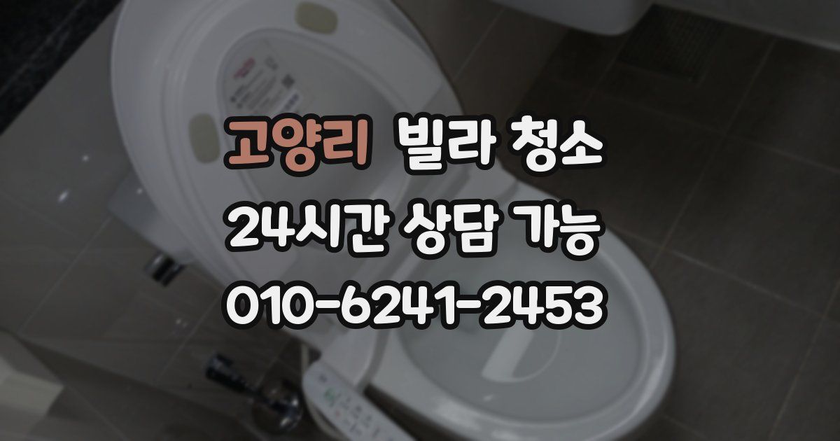 고양리 빌라 청소