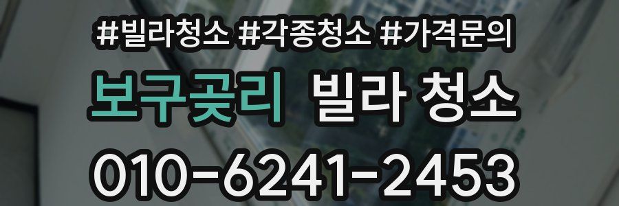 보구곶리 빌라 청소