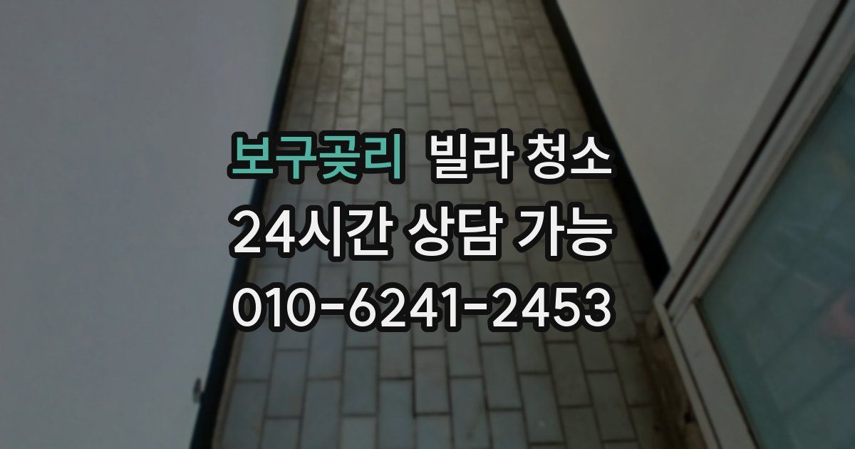 보구곶리 빌라 청소