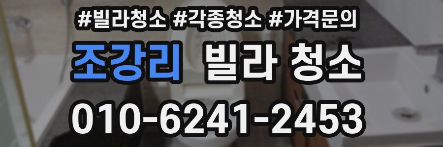 조강리 빌라 청소