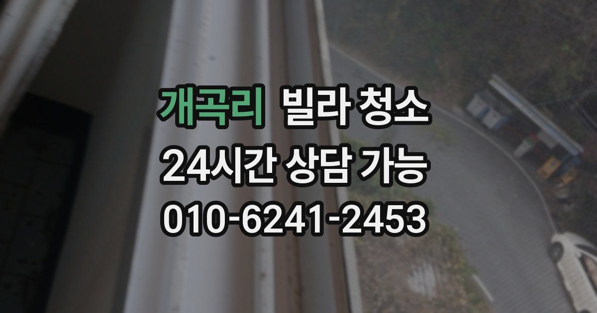 개곡리 빌라 청소