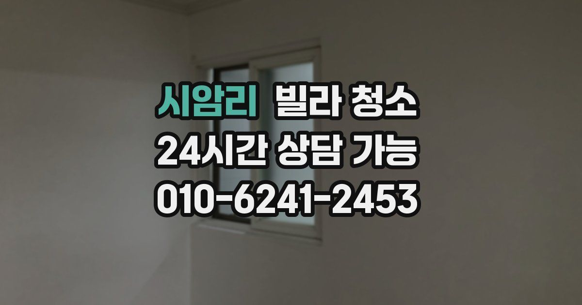 시암리 빌라 청소