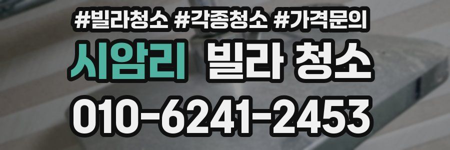 시암리 빌라 청소