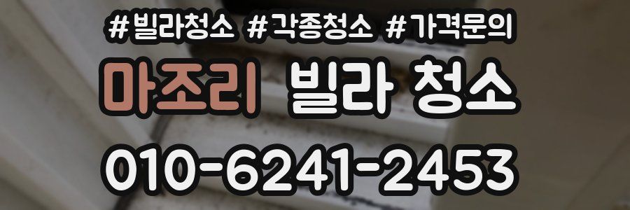 마조리 빌라 청소