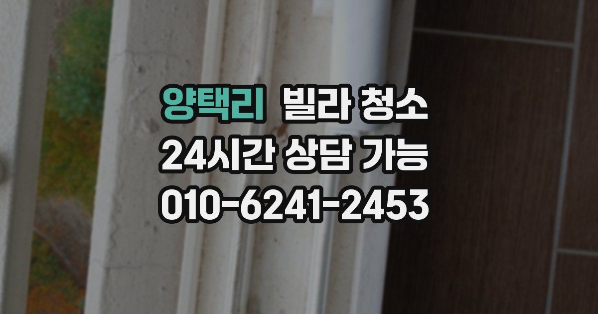 양택리 빌라 청소