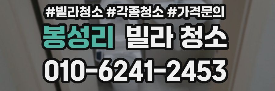 봉성리 빌라 청소