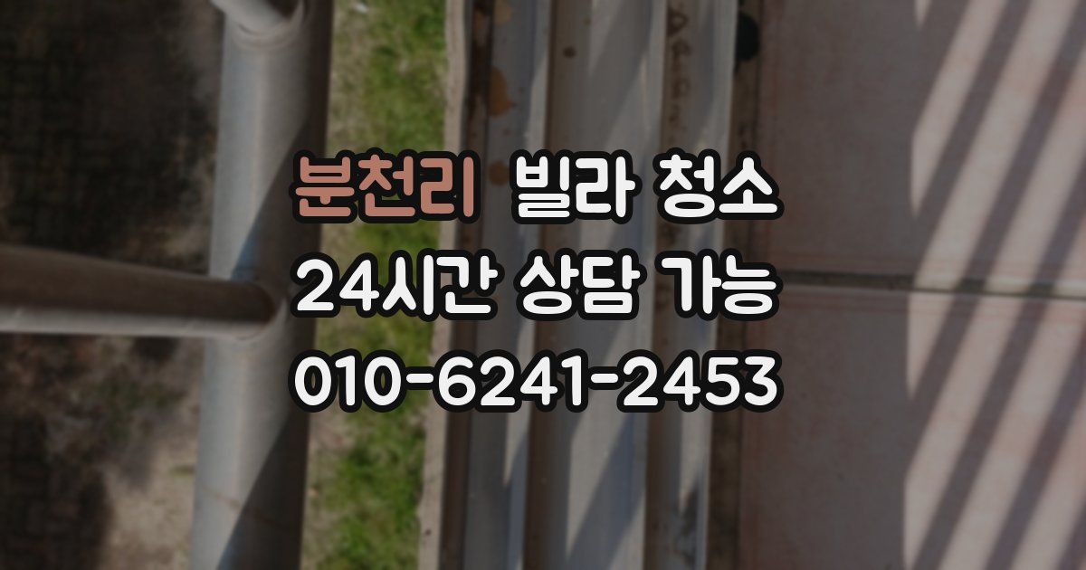 분천리 빌라 청소