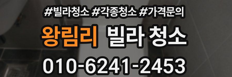 왕림리 빌라 청소