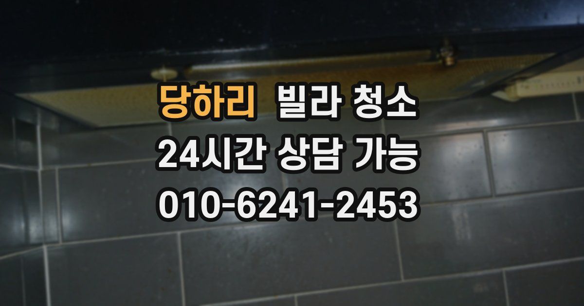 당하리 빌라 청소