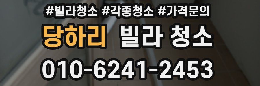당하리 빌라 청소