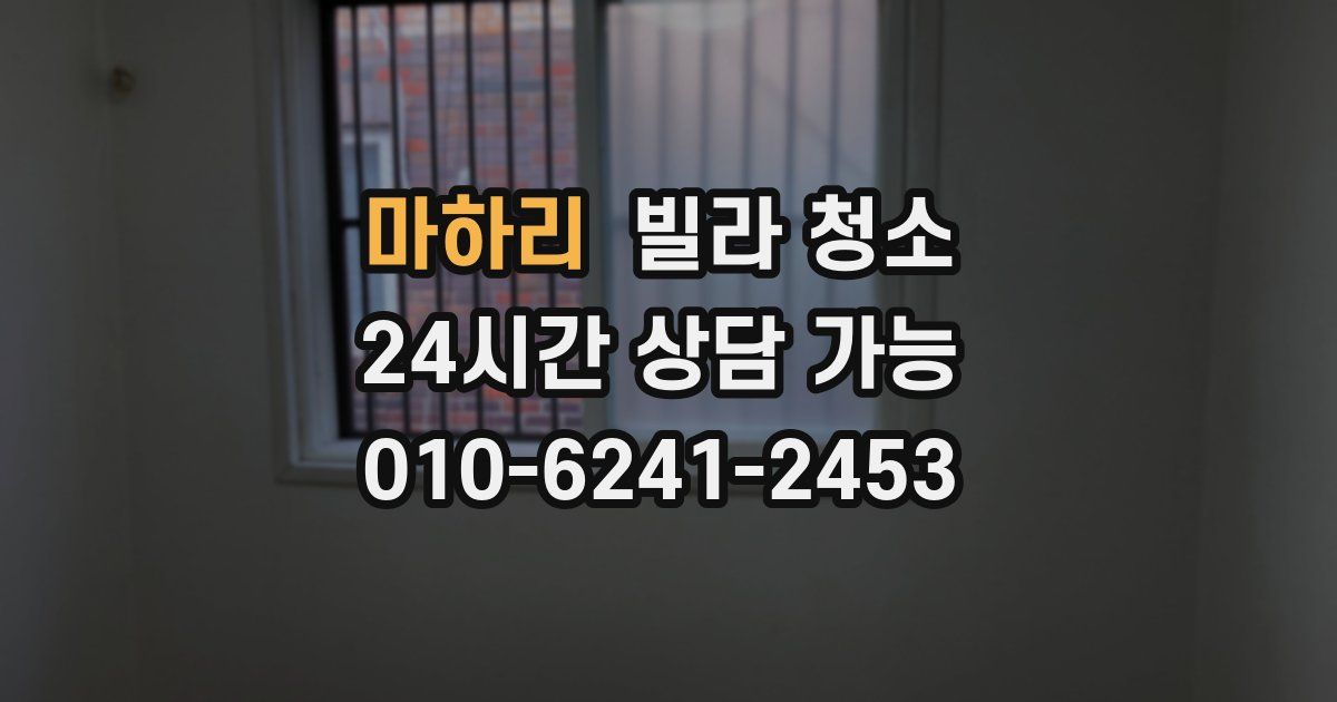 마하리 빌라 청소