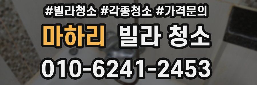 마하리 빌라 청소