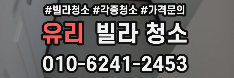 유리 빌라 청소