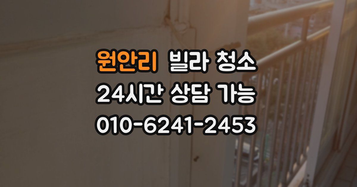 원안리 빌라 청소