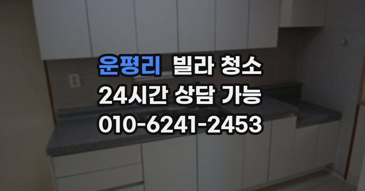 운평리 빌라 청소