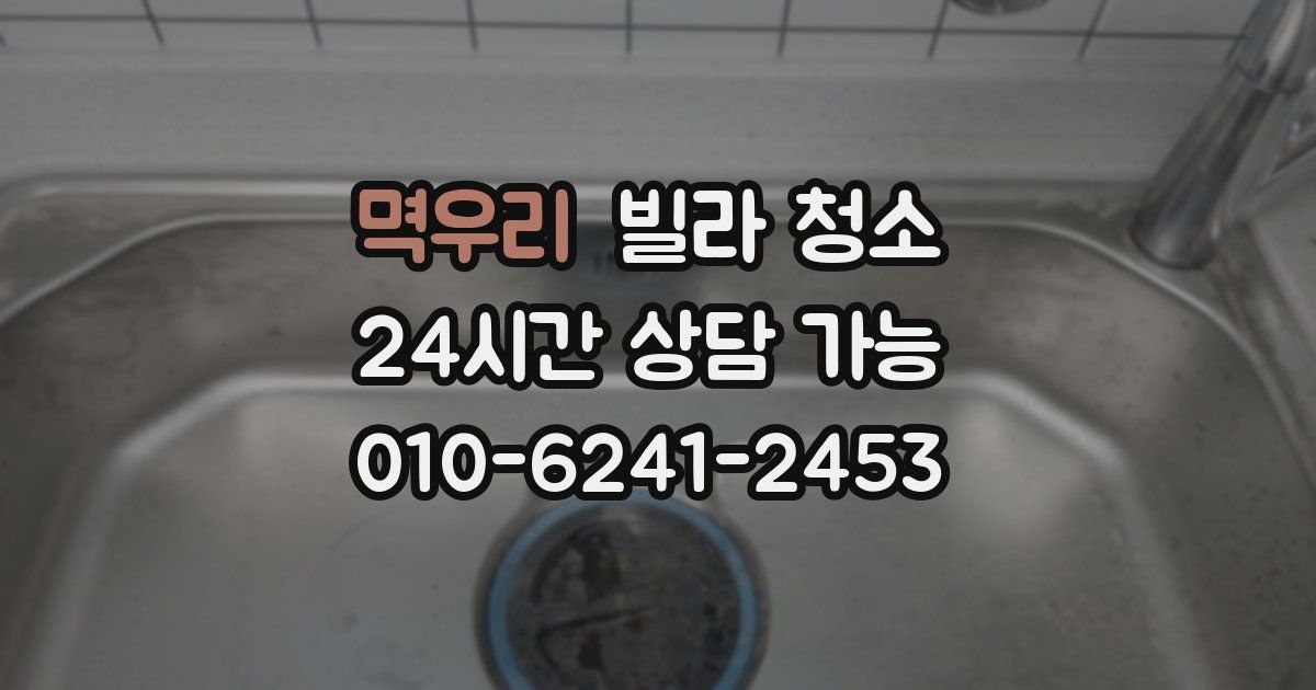 멱우리 빌라 청소