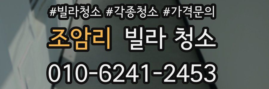 조암리 빌라 청소