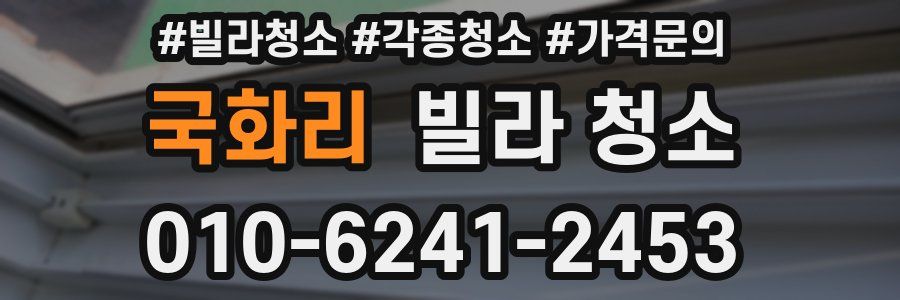 국화리 빌라 청소