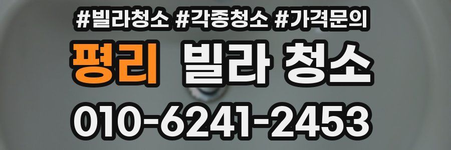 평리 빌라 청소