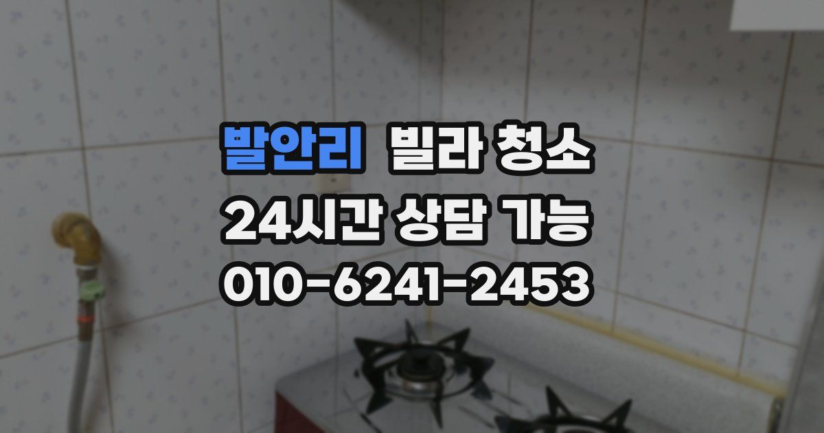 발안리 빌라 청소