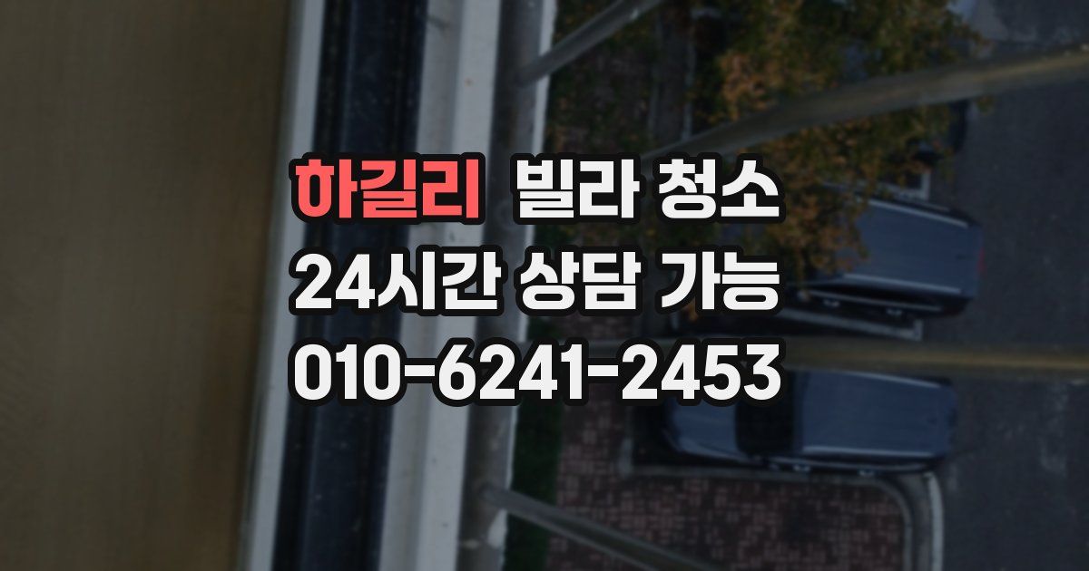 하길리 빌라 청소