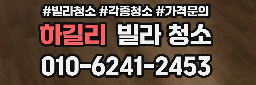 하길리 빌라 청소