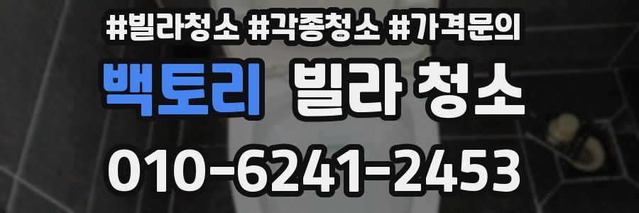 백토리 빌라 청소