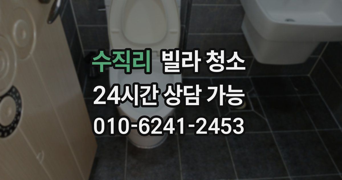 수직리 빌라 청소