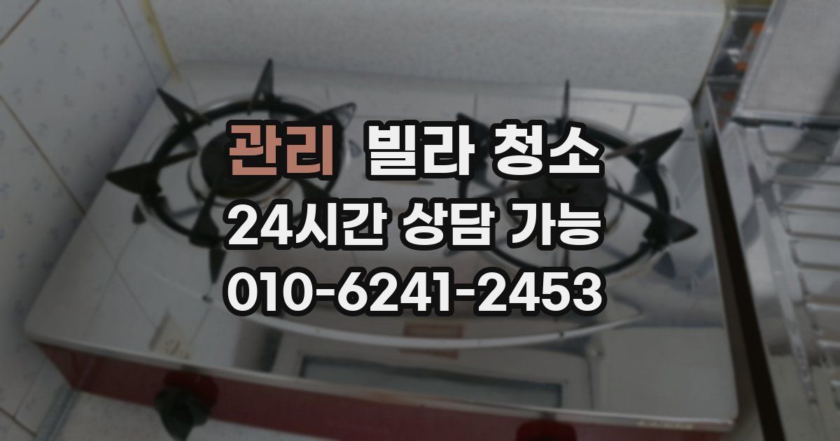 관리 빌라 청소