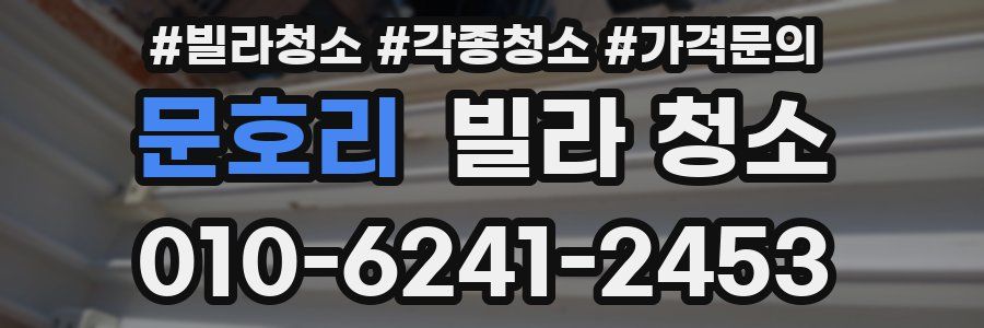 문호리 빌라 청소