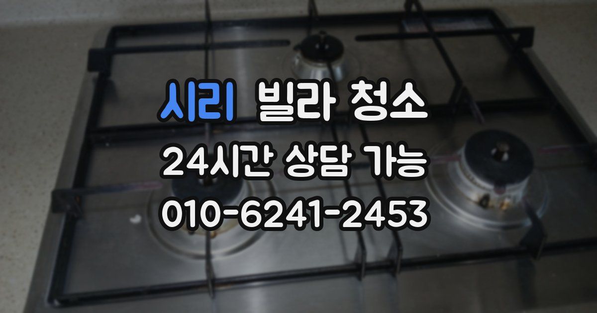 시리 빌라 청소