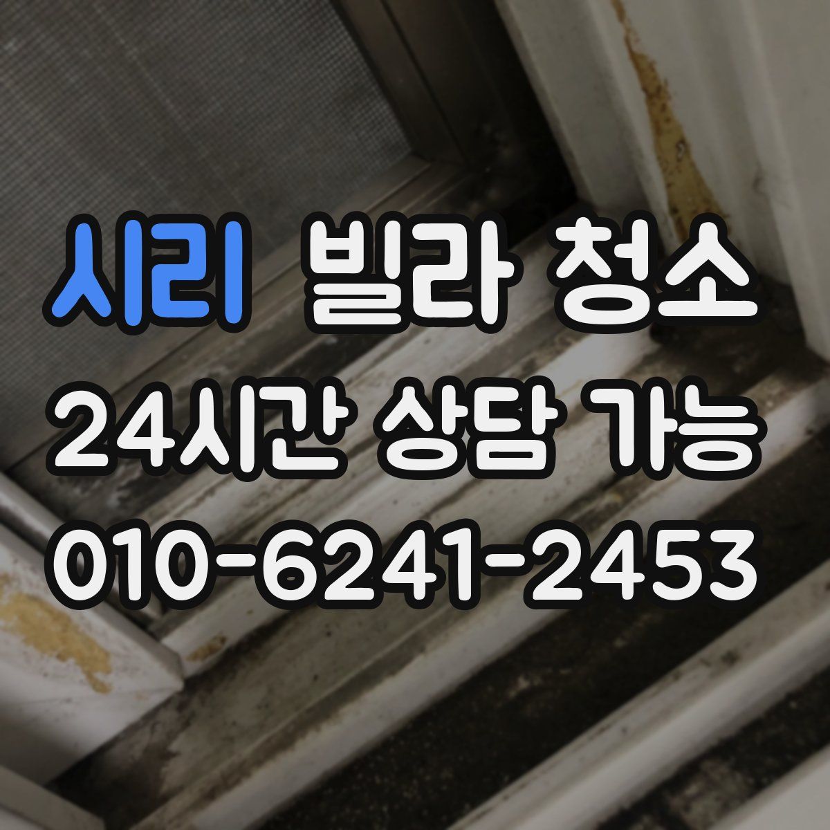 시리 빌라 청소