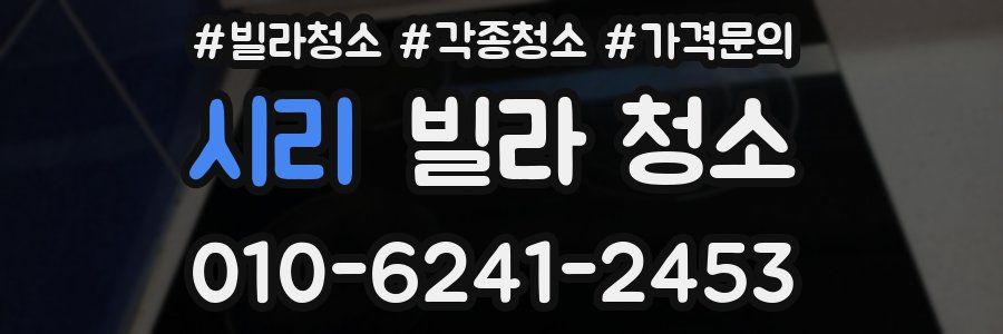 시리 빌라 청소