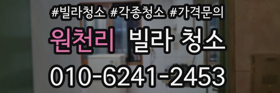 원천리 빌라 청소