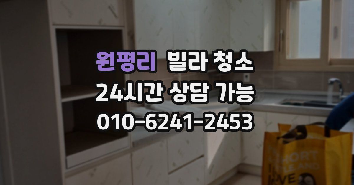 원평리 빌라 청소