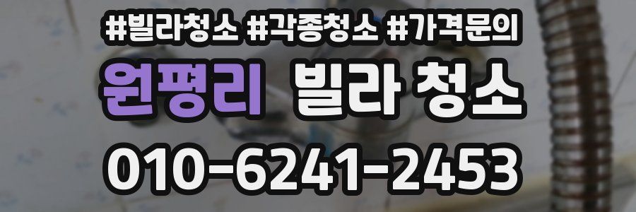 원평리 빌라 청소