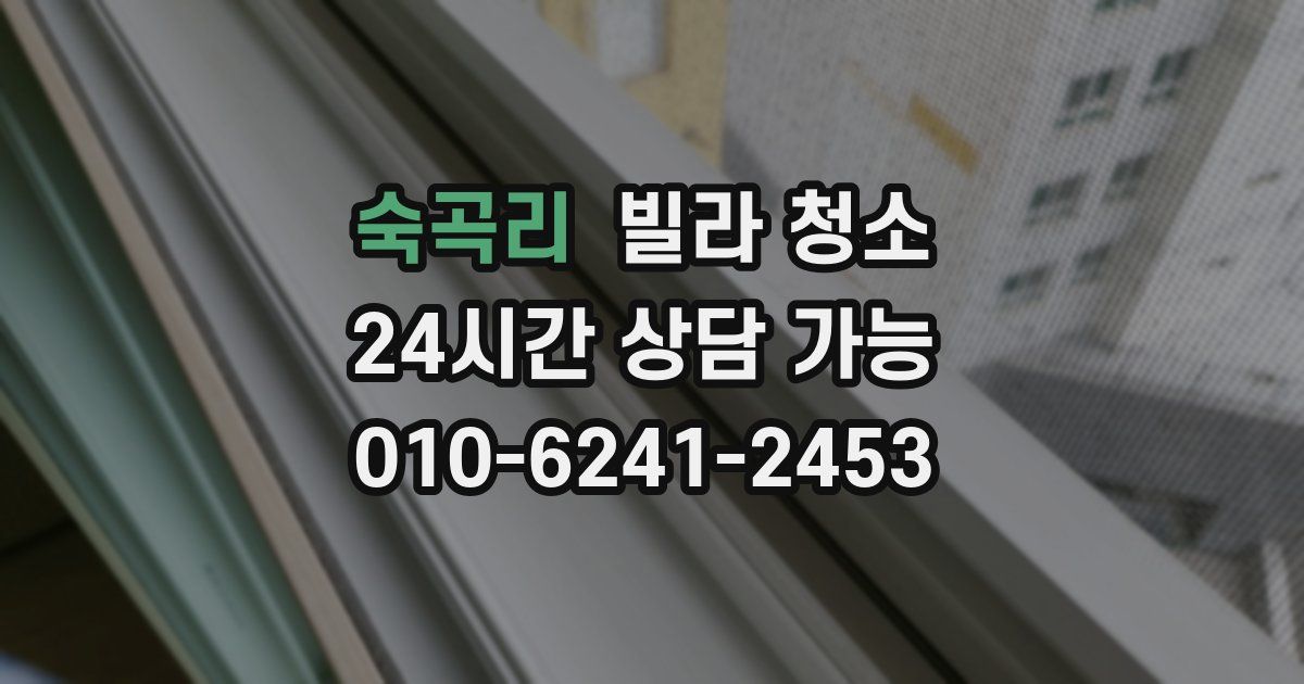 숙곡리 빌라 청소